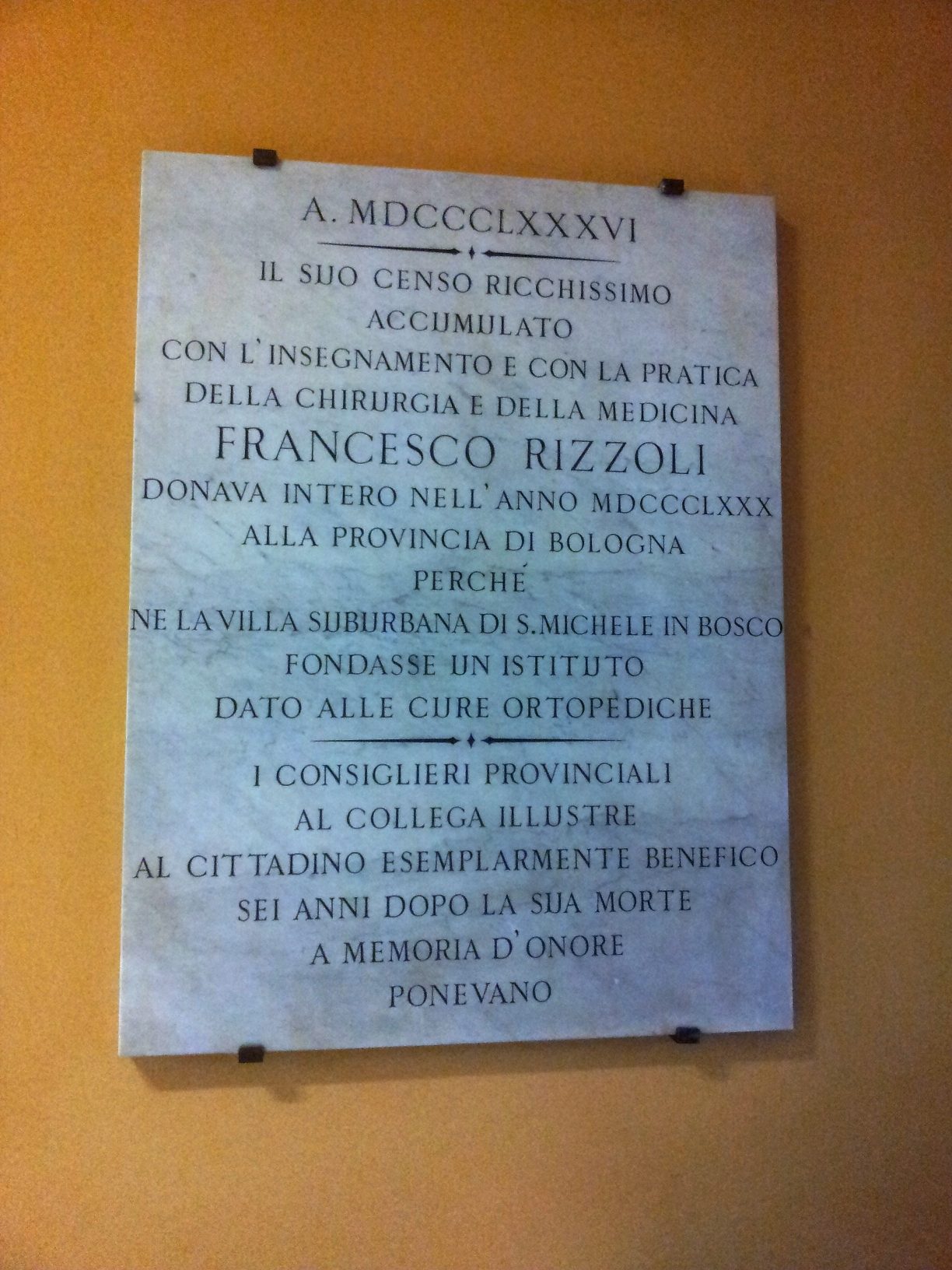 Francesco%20Rizzoli%27s%20memorial%20tablet%2C%20Istituto%20Rizzoli%2C%20Bologna%20-%2001.jpg